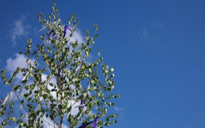 Kleuren en kunsttherapie bij volwassenen